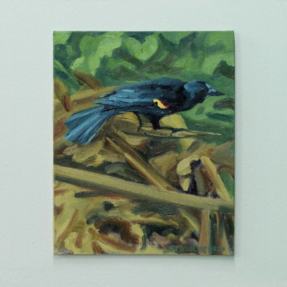 "Red-winged Blackbird" Original Oil Painting