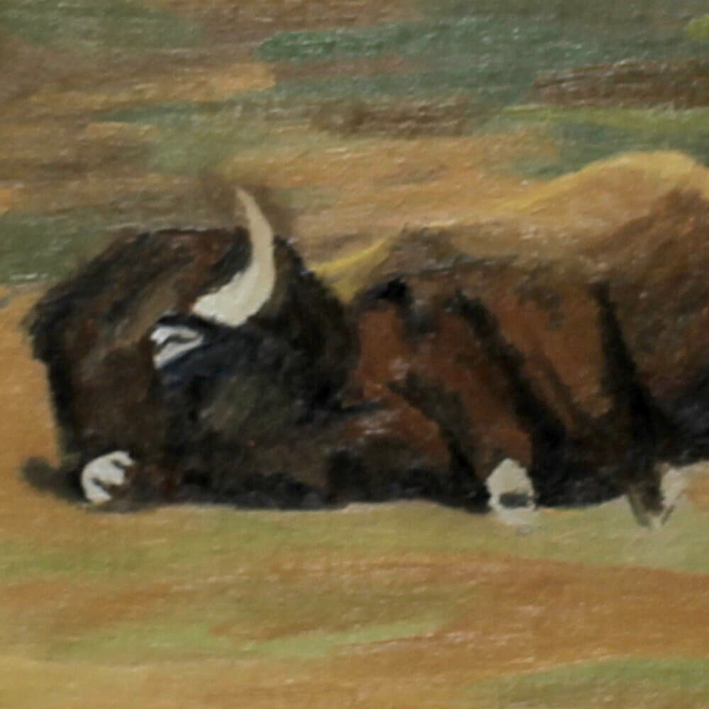"Sleeping Bison" Original Oil Painting