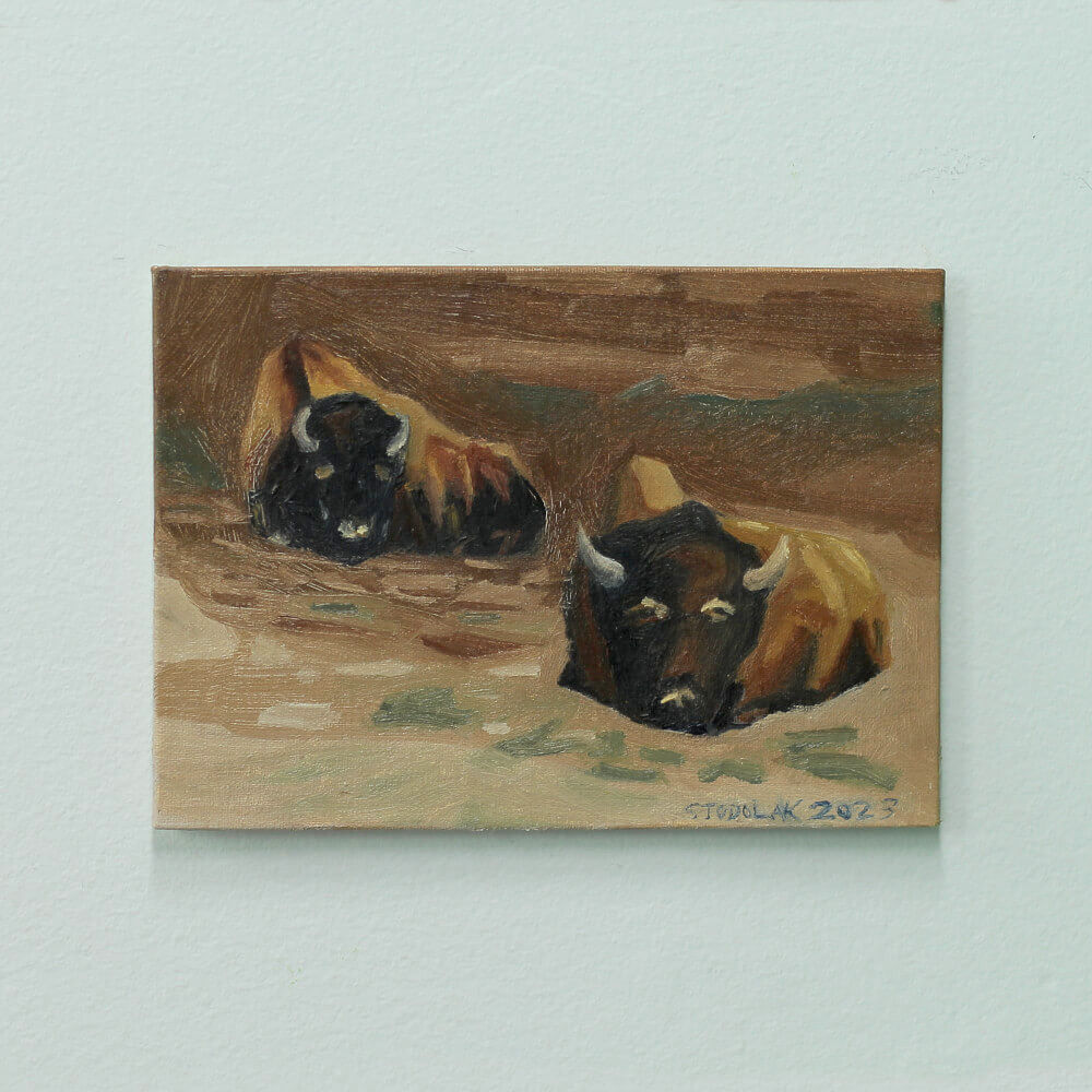 "High Park Bison" Original Oil Painting