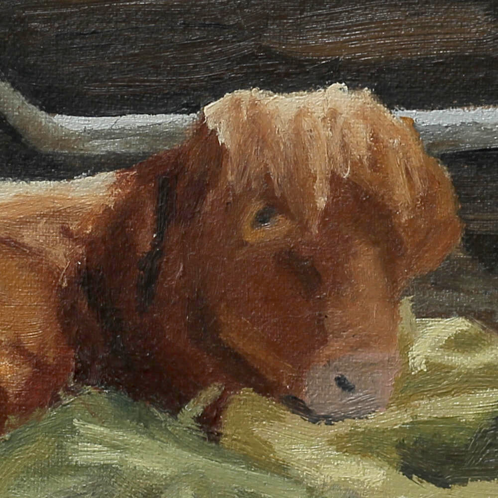 "West Highland Cattle" Original Oil Painting