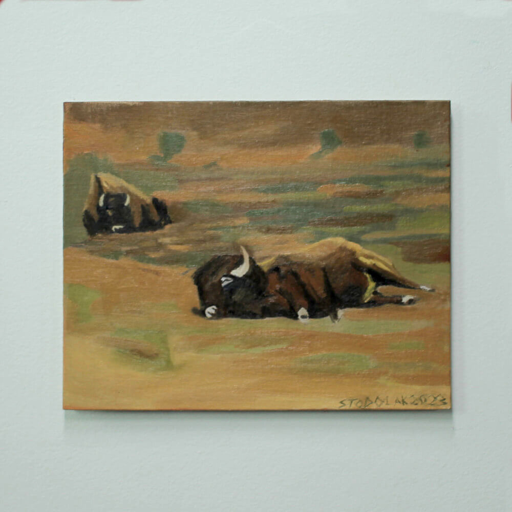"Sleeping Bison" Original Oil Painting